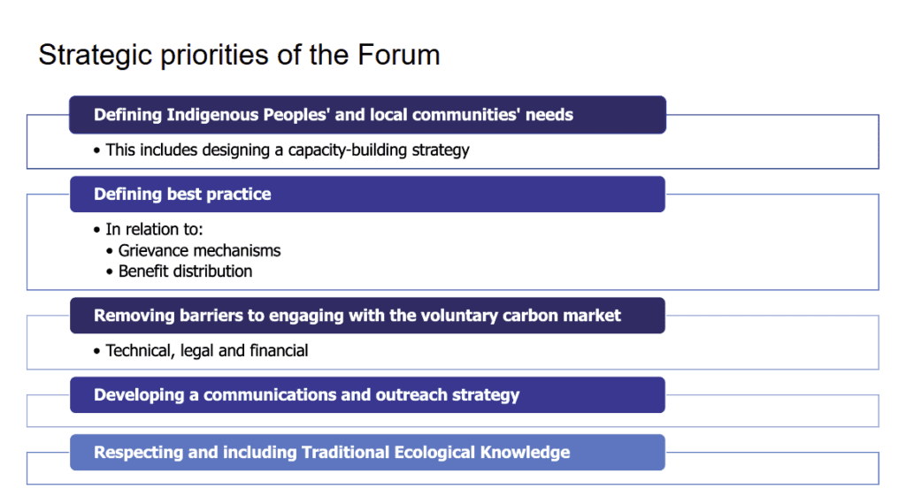 image describing strategic priorities of the forum in bullet points