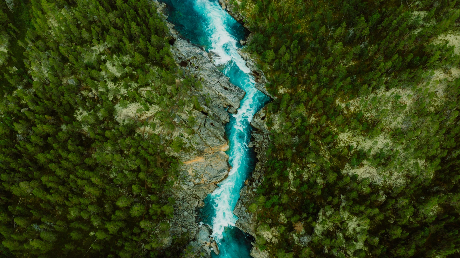 Drone high-angle photo of the turquoise-colored mountain river flowing in the pine woodland with a view of the mountain peaks in the background.