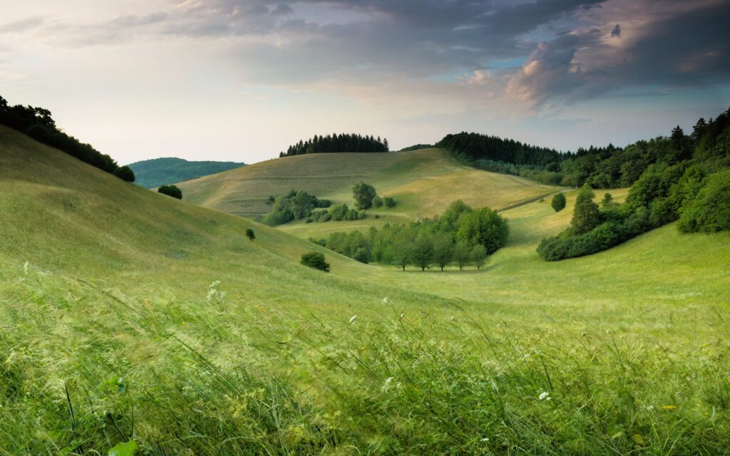photo of green hills with forest under cloudy sky during daytime