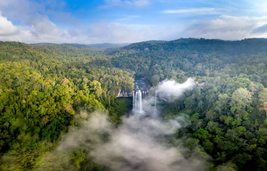 Scenic View of the Waterfalls in a Forest