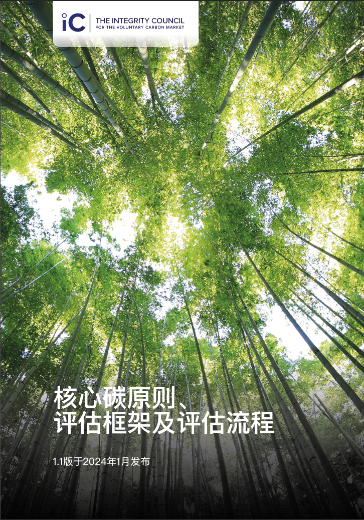 CCP 评估框架文件封面