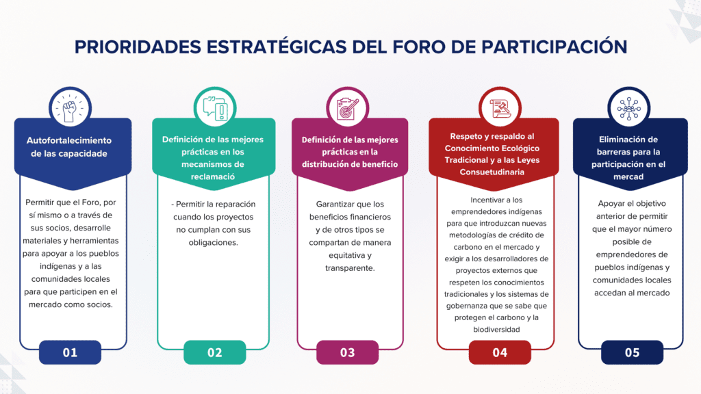 Infografía titulada "Prioridades Estratégicas del Foro de Participación", con cinco bloques numerados del 01 al 05:
Fortalecimiento de capacidades – Apoyar a comunidades indígenas y locales con herramientas para participar en el mercado.
Mecanismos de quejas – Establecer buenas prácticas para la reparación cuando los proyectos incumplen.
Distribución de beneficios – Asegurar que los beneficios se compartan de forma justa y transparente.
Conocimiento ecológico tradicional – Fomentar metodologías indígenas y respetar leyes consuetudinarias.
Eliminación de barreras – Facilitar el acceso al mercado para emprendedores indígenas y comunitarios.